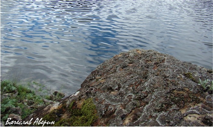 Озеро Омот. Камни поросли толстым слоем лишайника