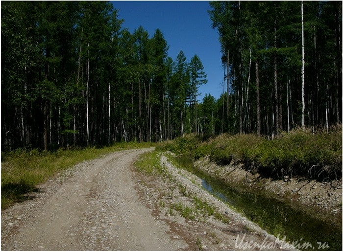 Старая лесовозная дорога. Идеальное состояние для заброшенной грунтовой дороги