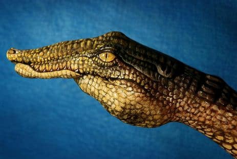 Krokodil.-Neobyichnoe-iskusstvo-Finger-painting