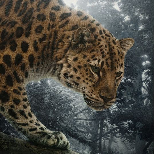 Художница Cristina Penescu.  Акрил Amur Leopard. 12x12 дюймов