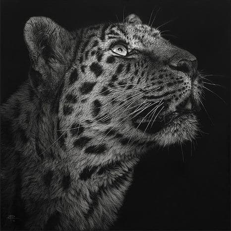 Художница Cristina Penescu.  Гратография Northern Chintse Leopard. 12x12 дюймов