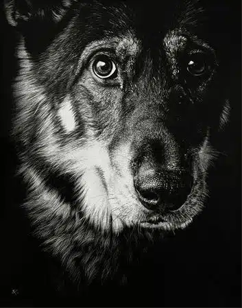 Художница Cristina Penescu.  Гратография Wolf Dog. 11x14 дюймов
