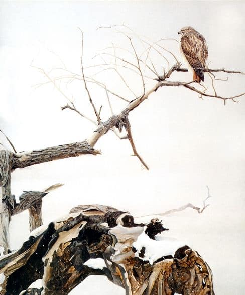 Robert Bateman. Анималистическая живопись. Картина седьмая