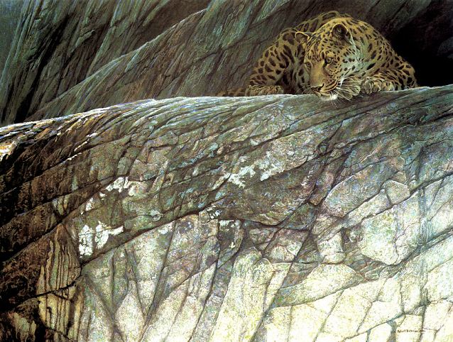 Robert Bateman. Анималистическая живопись. Леопард