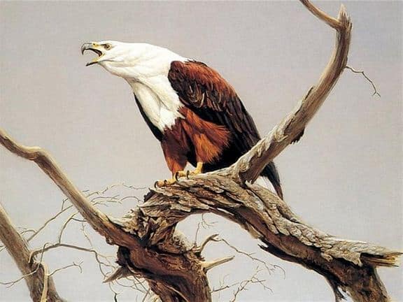 Robert Bateman. Анималистическая живопись. Орел