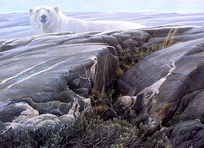 Robert Bateman. Анималистическая живопись. Полярный медведь