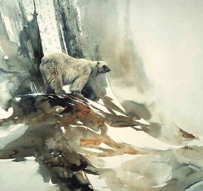 Morten E. Solberg. Животные акварелью. Белый медведь