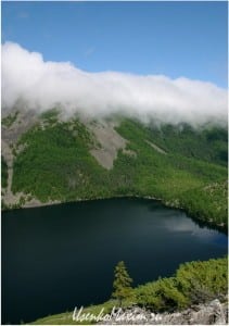 Баджальский хребет. Озеро Омот. Самая возвышенная лиственница