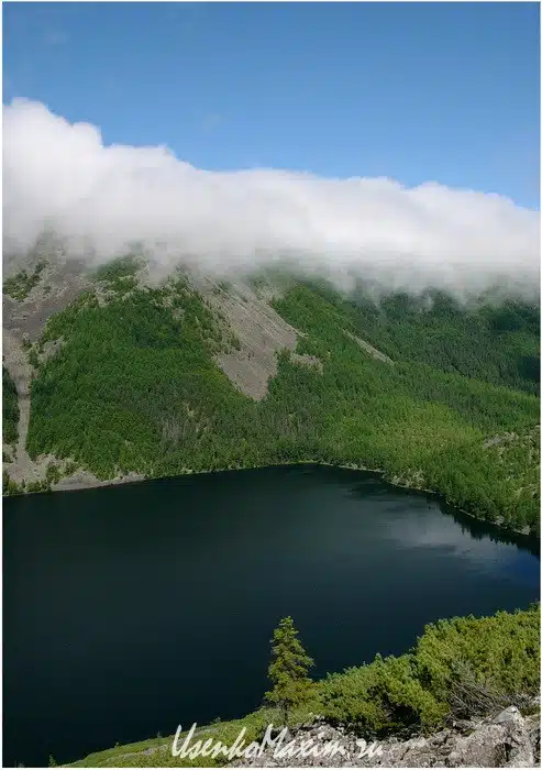 Баджальский хребет. Озеро Омот. Самая возвышенная лиственница