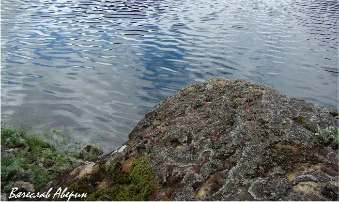 Озеро Омот. Камни поросли толстым слоем лишайника